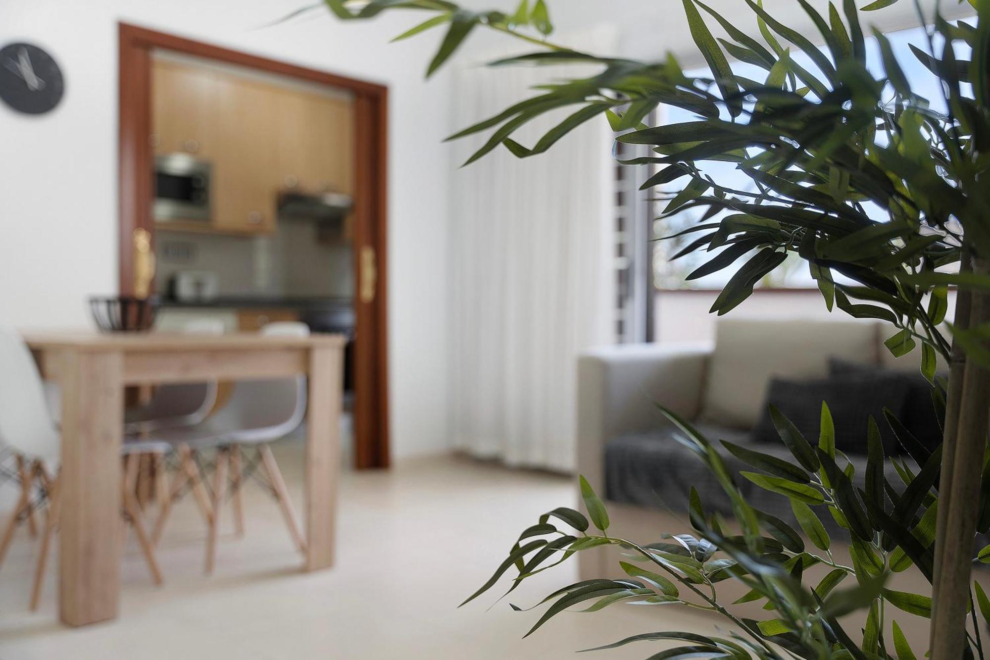 Apartamento Opuntia ลาโอโรตาวา ภายนอก รูปภาพ